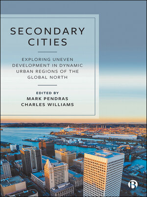 cover image of Secondary Cities